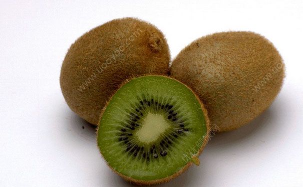猕猴桃是热性还是凉性？猕猴桃性温还是凉？[图]