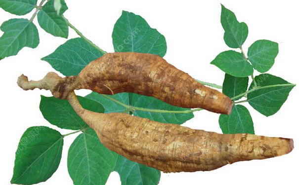 葛根怎么吃效果最好？葛根的正确的吃法[图]