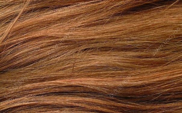 头发干枯发黄是什么原因？头发干枯发黄是怎么回事？[图]