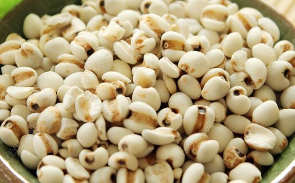 薏米月经期间能吃吗？月经期可以吃薏米吗？[图]