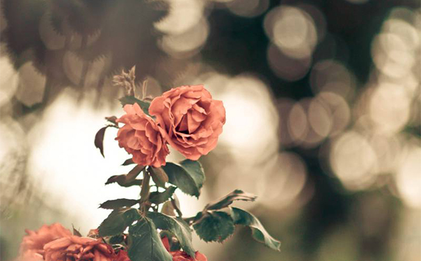 验孕棒在什么情况下会出错？验孕棒在什么情况下会出现