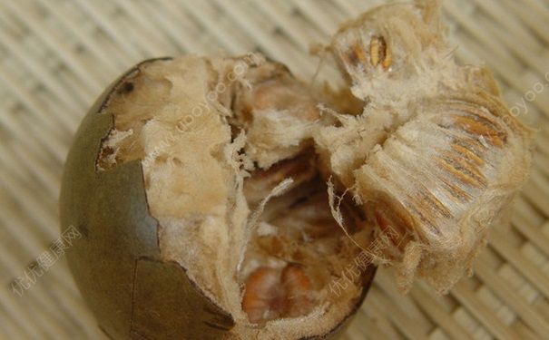 罗汉果隔夜还能喝吗？罗汉果茶隔夜能喝吗？(1)