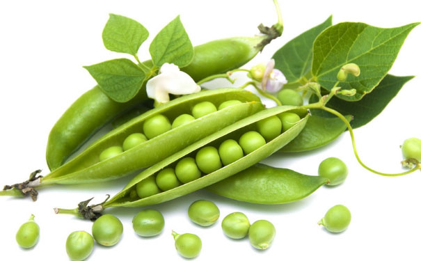 豌豆发芽了还能吃吗？发芽的豌豆能吃吗？[图]