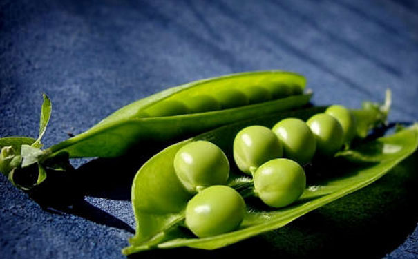 豌豆吃多了会胖吗？豌豆热量高吗？[图]