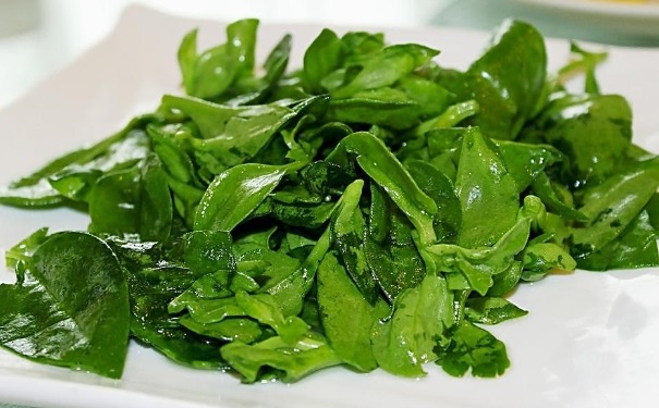 穿心莲怎么吃？穿心莲的做法有哪些？[图]