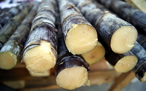 吃不完的甘蔗怎么保存？切好的甘蔗怎么保存？(1)