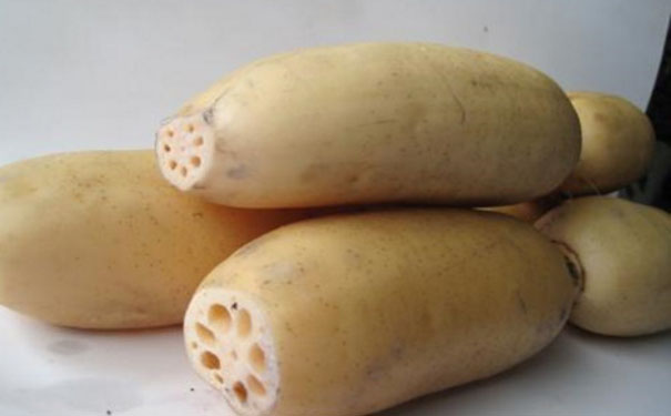 莲藕是寒性食物吗？莲藕是凉性还是热性？[图]