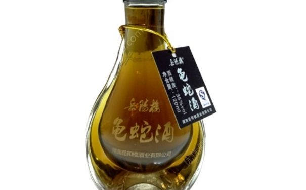 龟蛇酒怎么样？龟蛇酒多少钱一瓶？(1)