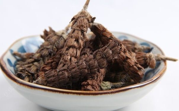 夏枯草的功效有哪些？夏枯草的功效与作用(1)