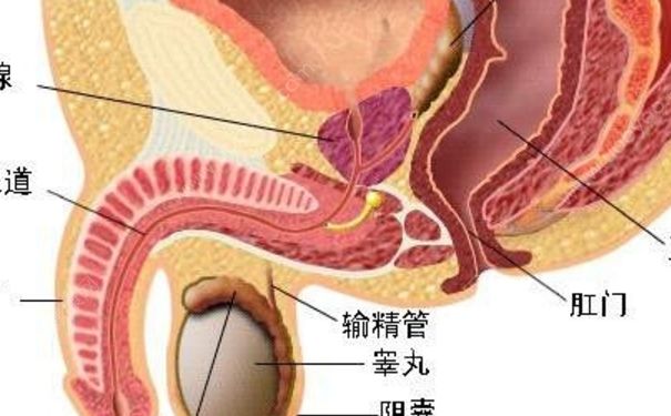 仙茅有毒吗？仙茅的功效与作用[图]