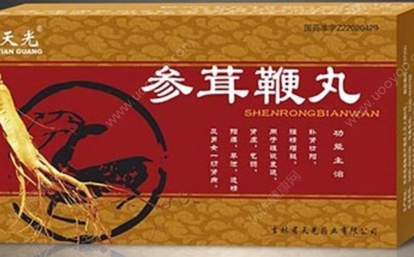 参茸鞭丸效果怎么样？参茸鞭丸是什么药？[图]