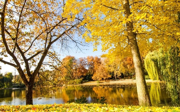 秋冬季节用霜还是乳液？秋冬用乳液还是霜？(1)