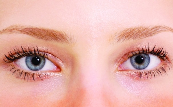 卧蚕和黑眼圈的区别是什么？黑眼圈和卧蚕的区别(1)