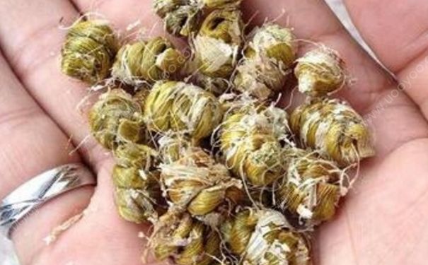 铁皮枫斗怎么吃？铁皮枫斗的功效与作用[图]