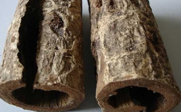 厚朴有什么禁忌？厚朴有什么功效？(1)