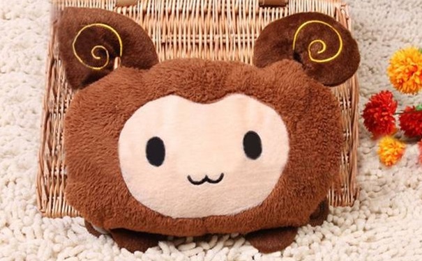 使用电热水袋要注意什么？电热水袋使用注意事项[图]