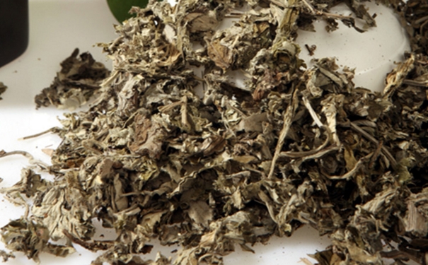 艾草对婴儿有影响吗？艾草对宝宝有影响吗？(1)