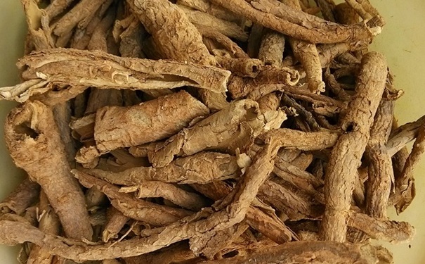 五加皮有什么功效？五加皮有什么作用？(1)