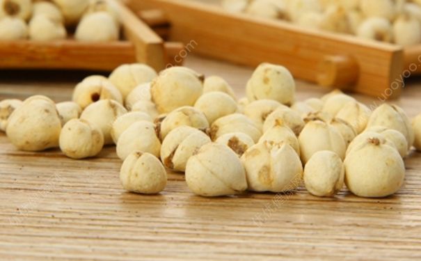 川贝母粉怎么吃？川贝母粉的功效与作用[图]