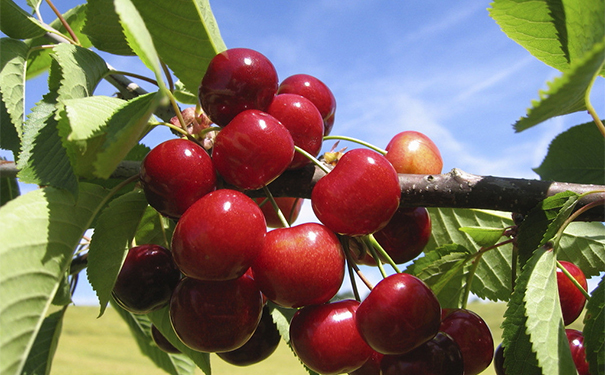 女人该怎么保养皮肤？女人怎样保养才年轻？[图]