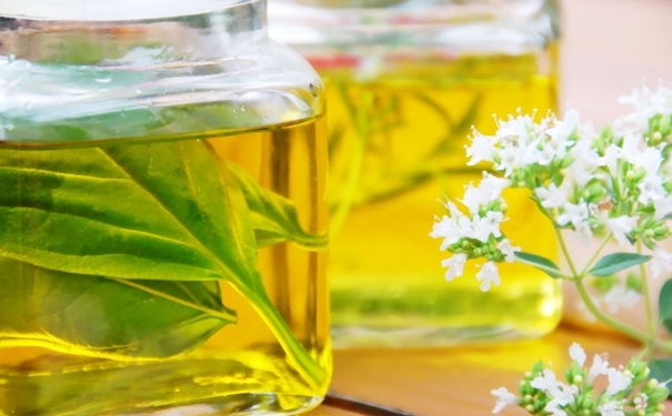 茶树精油祛痘怎么样？茶树精油去痘效果好吗？(1)