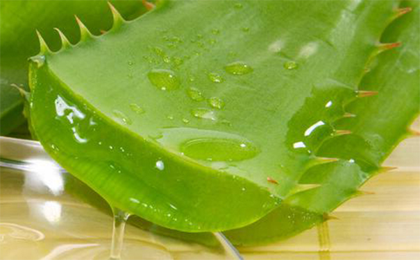 芦荟胶能美白吗？芦荟胶可以美白皮肤吗？(1)