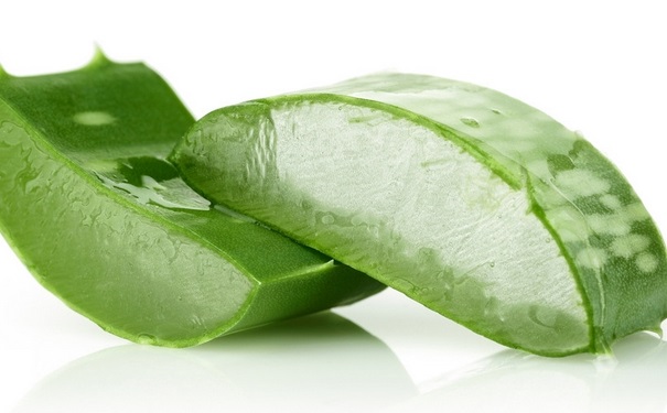 芦荟胶正确用法是什么？芦荟胶要怎么样？(1)
