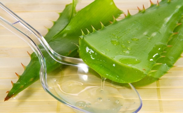 芦荟胶可以天天用吗？芦荟胶使用注意什么？(1)