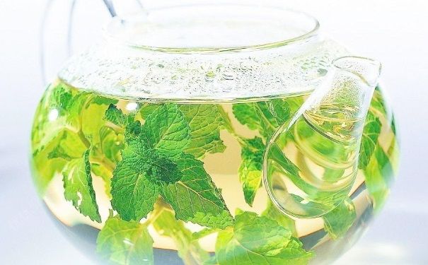 高中生熬夜喝什么茶好？高中生熬夜喝什么比较好？(4)