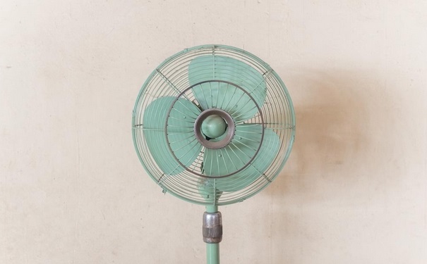 吹风扇有什么坏处？怎样预防风扇病？(1)