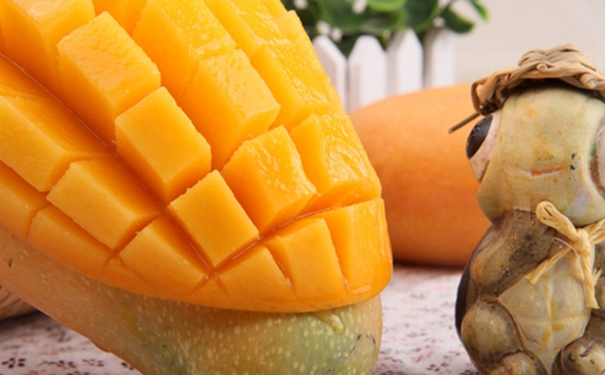 孕妇可以吃芒果吗？孕妇能吃芒果吗？(1)