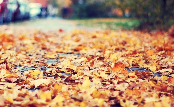 秋季怎么防脱发？秋季脱发怎么办？(1)