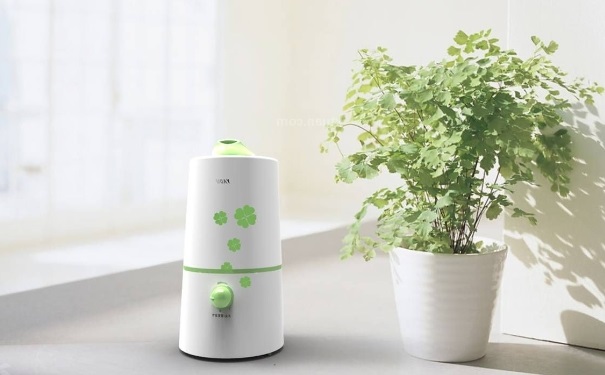 加湿器有什么危害？加湿器对人体的害处(1)