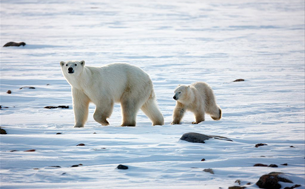 怎样提高耐寒能力？立秋后怎么耐寒锻炼？(1)