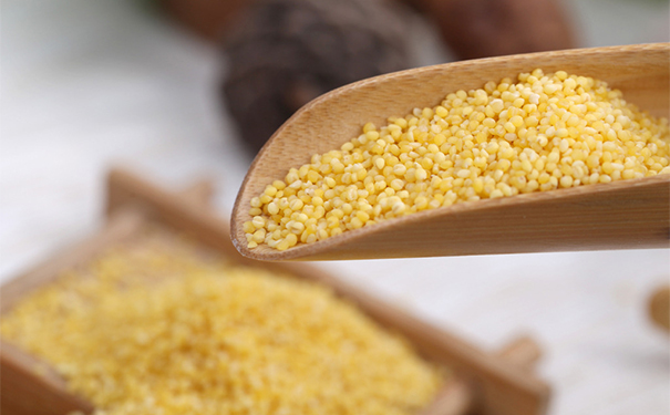 吃什么食物养胃最好？吃什么食物养胃又补胃？[图]