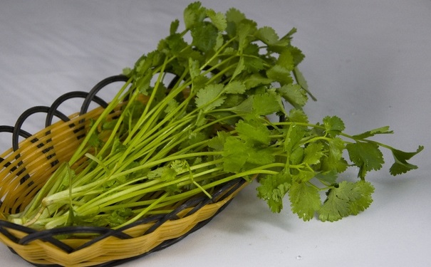 香菜煮水能治雀斑吗？香菜煮水洗脸能祛斑吗？(1)