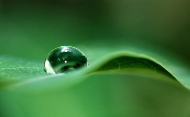 白露节气要注意什么？白露节气有哪些需要注意的？[图]