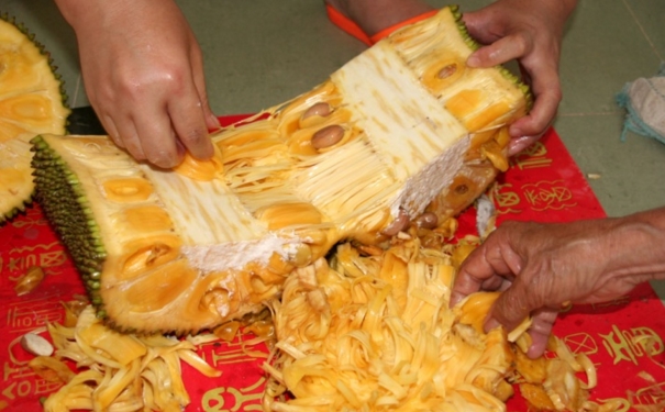 菠萝蜜汁液粘到怎么洗？菠萝蜜的汁液怎么洗掉？(1)