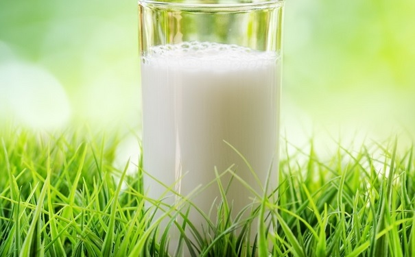 牛奶有什么功效？用牛奶美白的方法有哪些？(1)