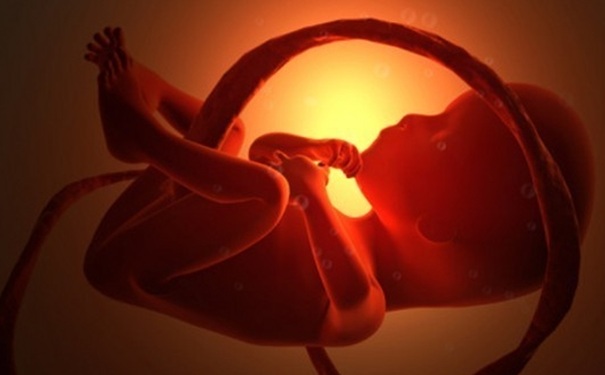 怀孕多久可以做b超？怀孕几周可以做b超？(1)