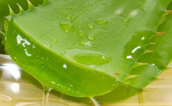 芦荟胶的功效有哪些？芦荟胶能去痘印吗？(1)