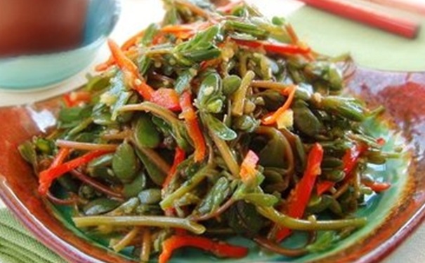 马齿苋的副作用有哪些？马齿苋有副作用吗？[图]