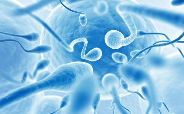 精子的死法有哪些？精子健康受什么影响？(1)