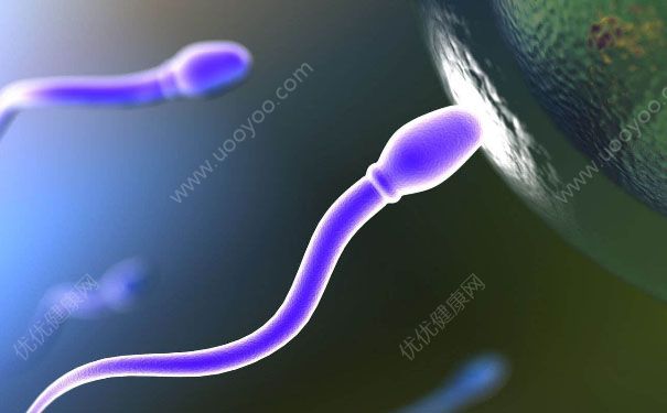 正常精子到底能跑多快？精子的活力如何更充足？[图]