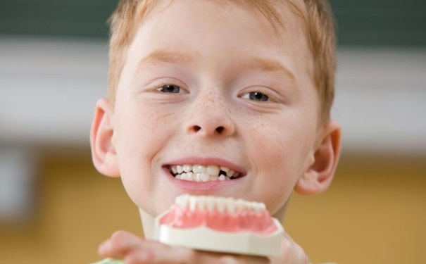 乳牙和恒牙有什么区别？乳牙和恒牙的区别(1)