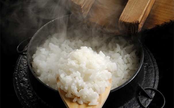不吃主食能瘦吗？每天不吃主食能减肥吗？(1)