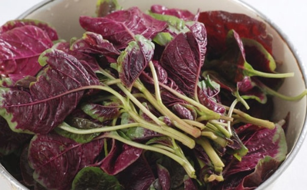 苋菜孕妇能吃吗？孕妇能不能吃苋菜呢？(1)