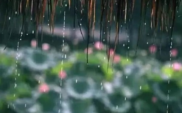 梅雨是什么时候？梅雨季节是什么时候？(1)