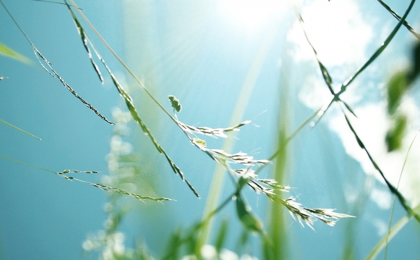 三伏天锻炼的好处 三伏天要注意什么？(1)