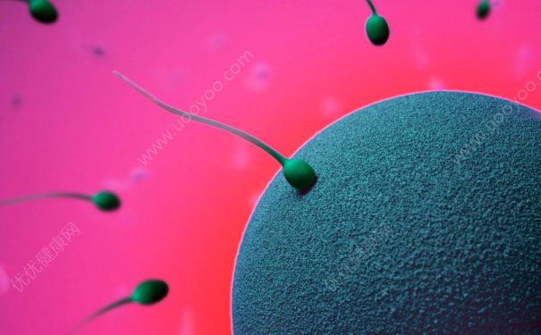 睾丸每天产生多少精子？精子会不会用完？(1)